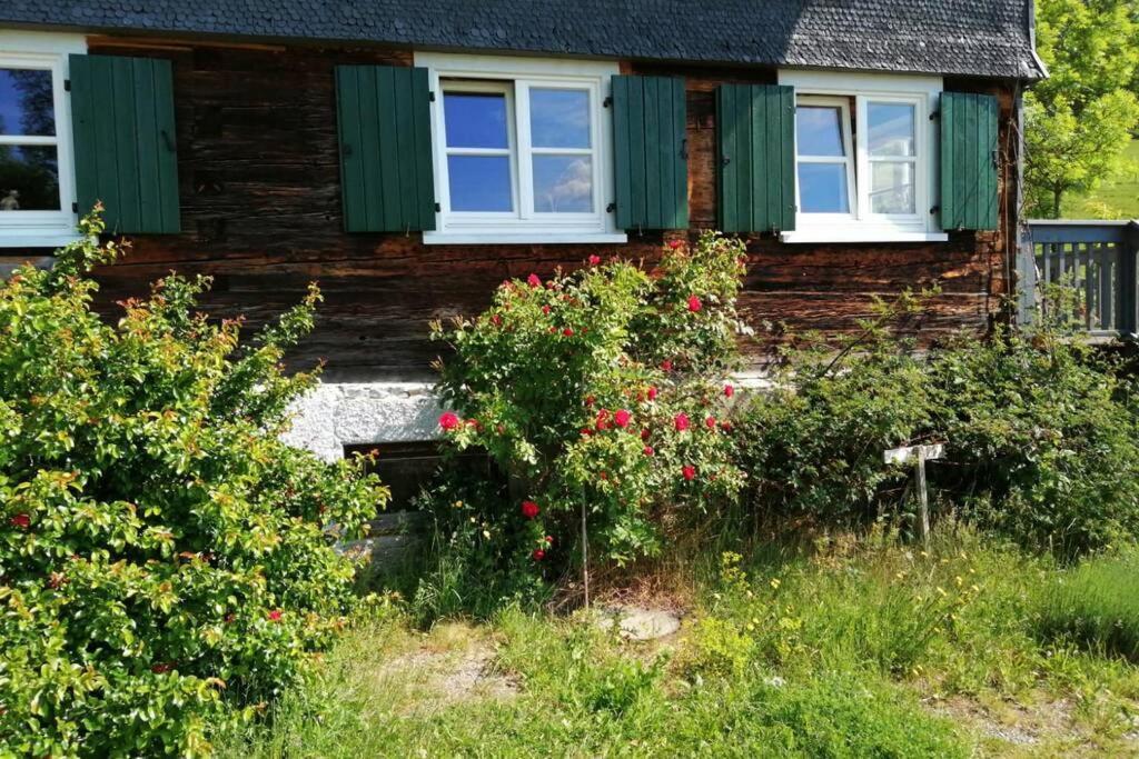 Grunenbach Allgaeu Apartment Rose Im Og מראה חיצוני תמונה